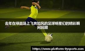 德州扑克新手最大的问题是手多（德州扑克新手的最大问题是起手牌范围过宽）